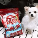 퓨리원 | 퓨리나 원 사료 이벤트 &amp; 이마트이벤트♡