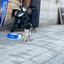 삼오약국 | 예비 신랑을 눈물 범벅으로 만든 대망의 프로포즈 대작전! 내가 해냄~! 긍정의 기운 가득했던 10월