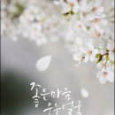 퇴근 Daum카페