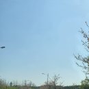 마이다스 | 이천마이다스CC 라운딩 후기