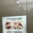 진영5호 | 에스클라스뷰티 : 진영브로우리프트펌 , 눈썹정리 실력좋은곳