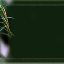 서있는 사람 이미지