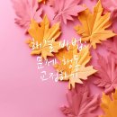 의왕동물병원 이미지