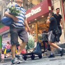 나도 스마트폰 사진작가 이미지