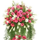 천영카센타 이미지