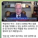참빛약국 네이버블로그