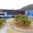 논개골 낭만 벚꽃축제 이미지