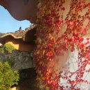 산너머남촌 이미지