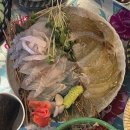 달삼로 | 울산 사시미 맛집 삼산 술집 포장마차 울지로 생새우회 농어회 후기
