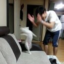 540태권도장 | 성인 태권도 체험 오픈짐 후기 - 동대문 오르다 태권도(직장인 취미 추천)