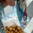 [2025년 상반기]제빵기능사 실기 | 눈물의 제빵실기 자격증 시험팁 그리고 합격후기