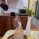 양옥집소정원 | 제주여행 숙소 후기(양옥집소정원/애월애휴양펜션)