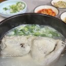 동해식당 | 동해 삼계탕 맛집 남경식당 몸보신 솔직후기