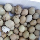 쌍용자동차북충주서비스프라자 이미지