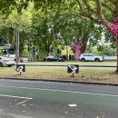 아이비스위트 이미지