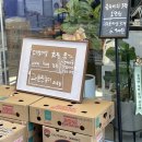 과일원정대 마곡점