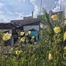 피자마루용암점 이미지