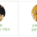 전주유화학교 이미지