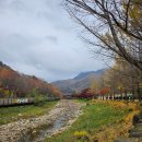 새재로그하우스 | #문경새재 로그하우스에서 1박2일 우리들의 추억 만들기 후기