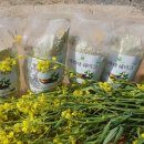 야곱농장2 이미지