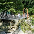 강원도산림개발연구원 집다리골자연휴양림 | 공립 집다리골 자연휴양림 (강원도)