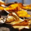 아동미술 이미지