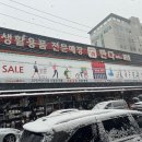 판다팜신갈
