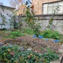 예쁜집좋은땅공인중개사사무소 이미지