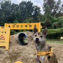 멍스 컨테이너 이미지