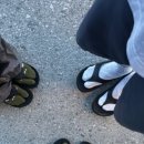 울릉도일등펜션 이미지