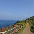 좋은카써비스 이미지