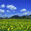 황산농장 이미지