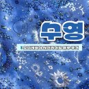 내돈내산 소냐레바이 9th anniversary 3만원대 트레이닝 수영복 득템 후기 사인라이트 블루 사이즈 추천