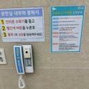 오라고동물병원 | 부산 순병원 자궁내막증식진단과 자궁내막 폴립 자궁경 수술 후기 한달경과