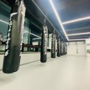 삼산무에타이 구리지관 이미지