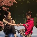 (주)다조은 | 와일드벅스 곤충탐험대 현실후기(다자녀+주차)