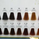 엘샤론코리아