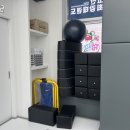 고산 최강 태권도장 이미지