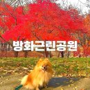 방화근린공원 관리사무소 이미지