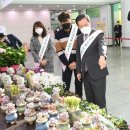 플라워마켓