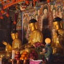 심광사 목조석가모니불좌상 | 보물 제1729호 창원 성주사 목조석가여래삼불좌상