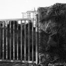 하모리-17 이미지