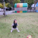 (주)두리정보통신 | 원주두리캠핑장 1캠핑장 놀이타프16 우중캠핑 후기 2