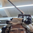 올케어포유 | 잠실새내 미용실 온리포유 구름펌 후기