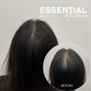 에센셜스튜디오 SMP 이미지