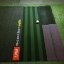 하이스크린골프 이미지