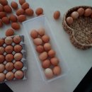 우촌농장 이미지