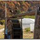 으뜸농장 이미지