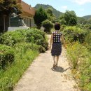 오룡초등학교 이미지