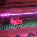 깡통삼겹살 이미지